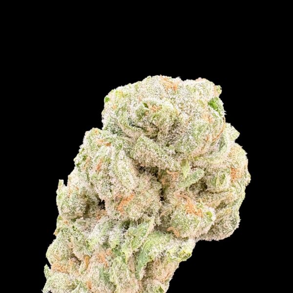 Macro close-up of a frosty cannabis bud with orange hairs on a black background, showing dense trichomes. (Informative)