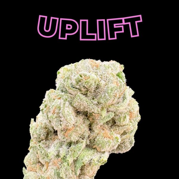 Frosty cannabis bud with dense crystals on a black background, pink outlined text reading 'UPLIFT' above it.