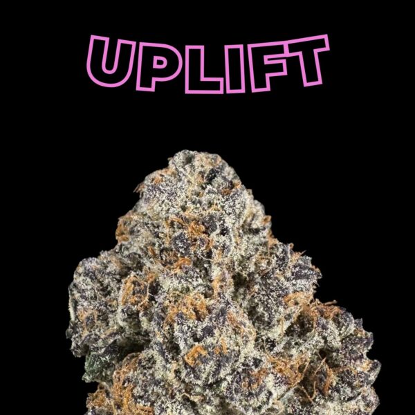 Branded image showing a cannabis bud with the word 'UPLIFT' in pink outlined letters on a black background; focus on the dense, frosty flower.