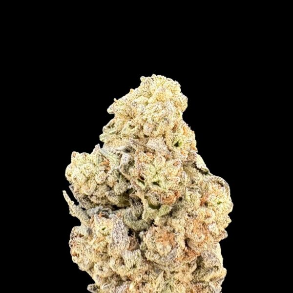 Dried cannabis bud with frosty trichomes on a black background, showing green, orange, and purple hues.