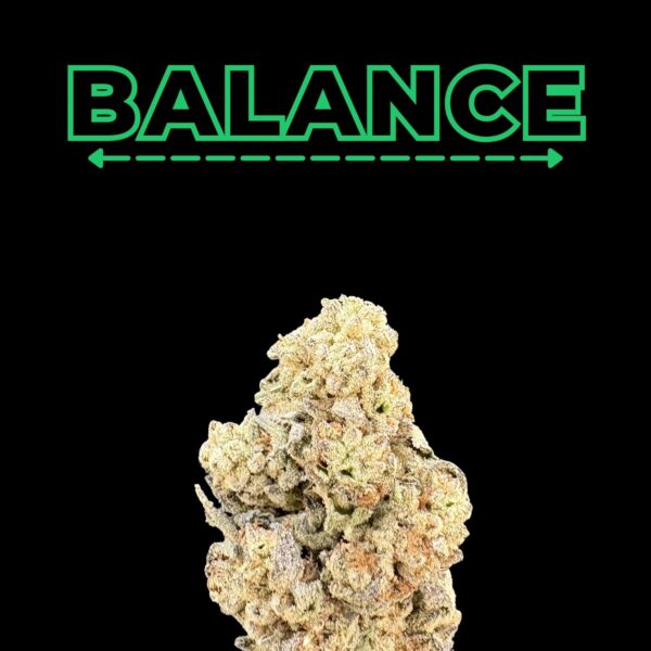 Brand logo reading BALANCE in bright green above a dashed-arrow line on a black background, with a large cannabis bud at the bottom (product image).