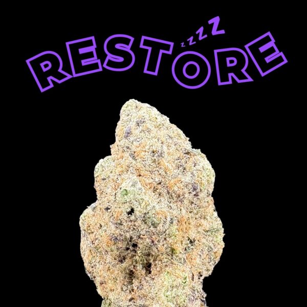 Close-up of a cannabis bud on a black background with the word RESTORE in purple outline text above.