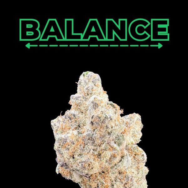 Cannabis bud shown below a green BALANCE logo on a black background.