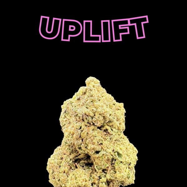 Brand name 'UPLIFT' in pink outlined letters above a large cannabis nugget on a black background.