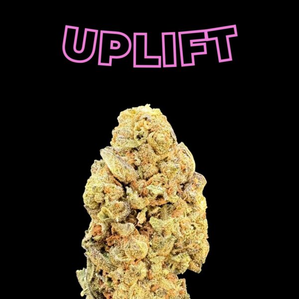 Close-up of a frosty cannabis bud against a black background with the word 'UPLIFT' in pink outlined letters above.