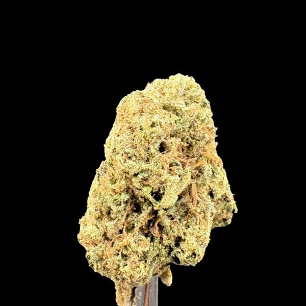 Dried cannabis bud with orange hairs and frosty trichomes against a black background on a stand