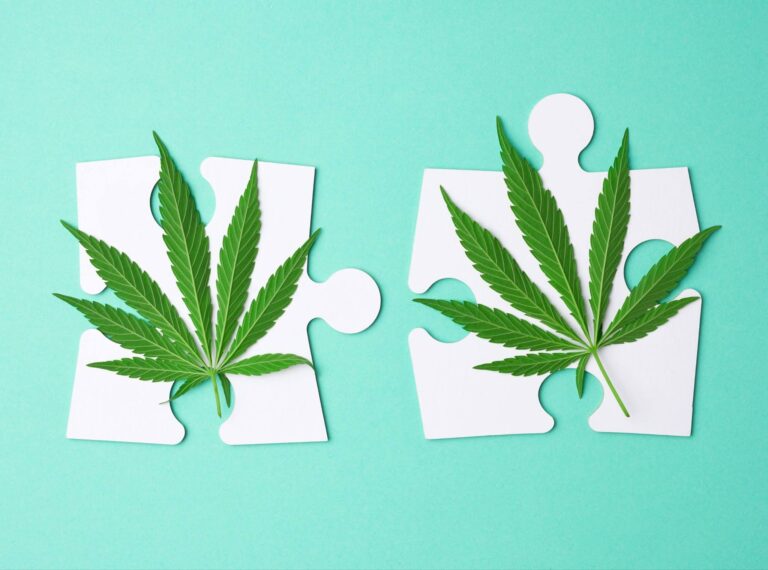 What is the Difference Between CBD and THC