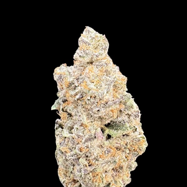 Close-up of a frosty, orange-hairy cannabis bud on a black background, showing dense crystals and varied colors.