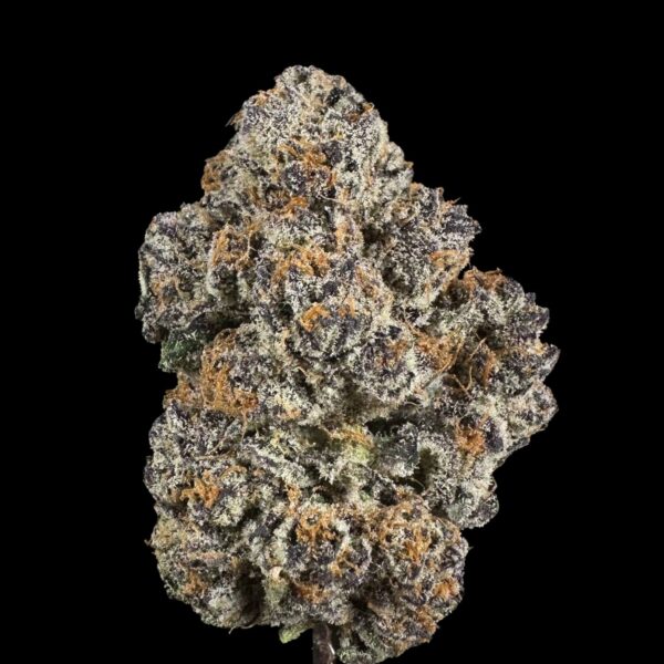 Dense cannabis bud covered in frosty white trichomes on a black background, with orange pistils visible.