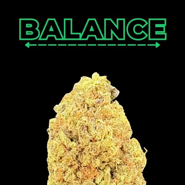 Graphic banner: the word BALANCE in bright green outlined letters with a dashed green line and arrows beneath, set against a black background, and a large textured rock in the lower portion suggesting balance or stability.