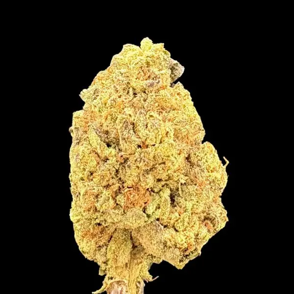 Close-up of a dense cannabis bud with orange hairs and frosty trichomes against a black background.