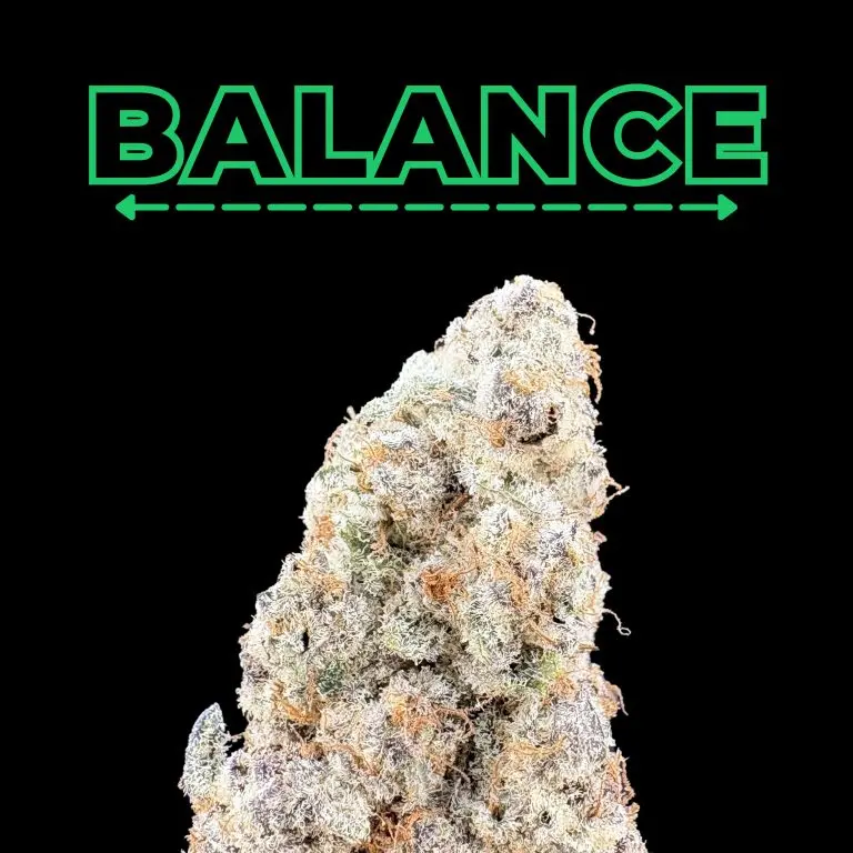 Banana Meltz THCa flower