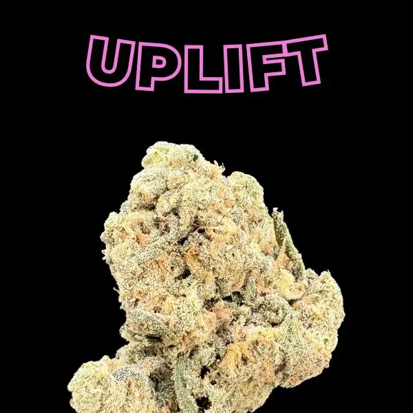 Pink outlined word 'UPLIFT' diagonally above a large textured rock against a black background, suggesting a poster or graphic design.