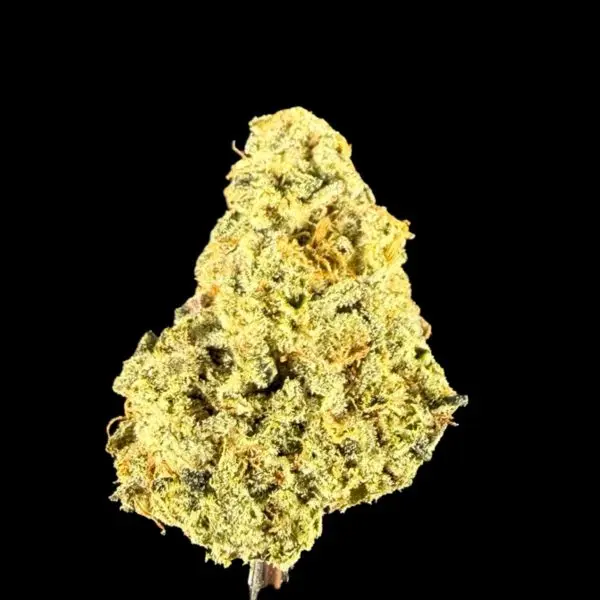 Close-up of a dense cannabis bud with yellow-green coloring and visible trichomes against a black background, with a small stem at the bottom.
