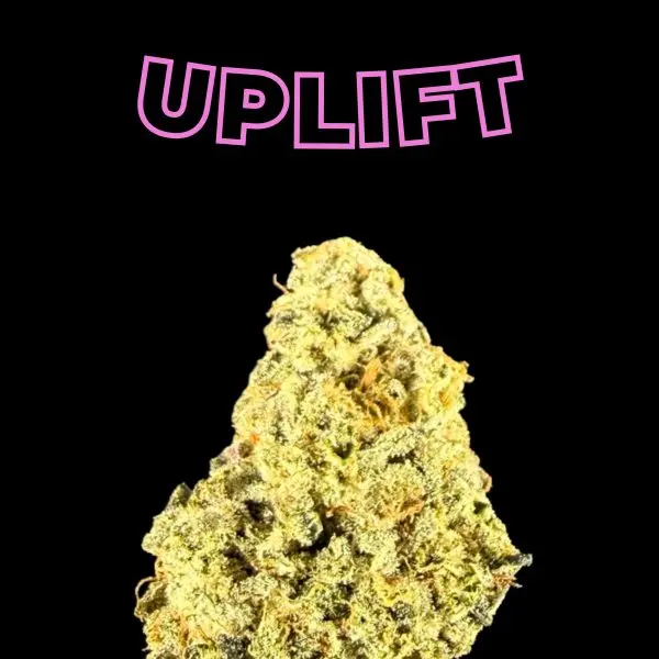 Large pink outlined text reading 'UPLET' on a black background with a cannabis bud below it.