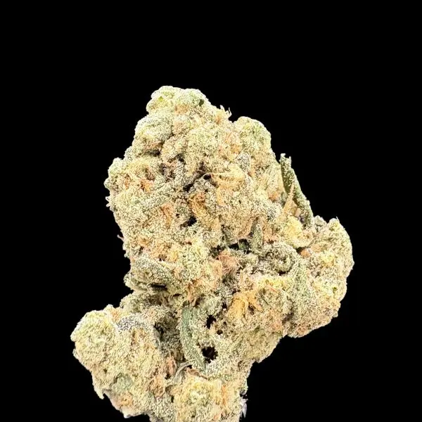Close-up of a light-colored coral cluster with a textured, branching surface against a black background.