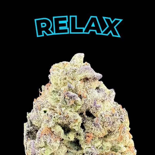 Neon blue 'RELAX' text above a textured multicolored coral on a black background.