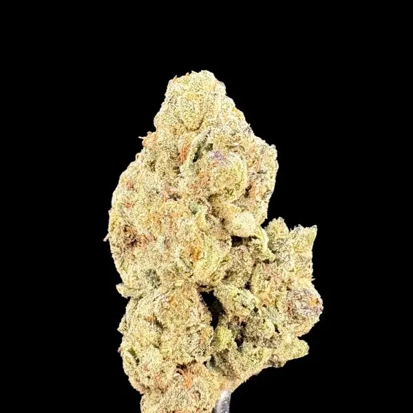 Close-up of a frosty cannabis bud with orange hairs on a black background.