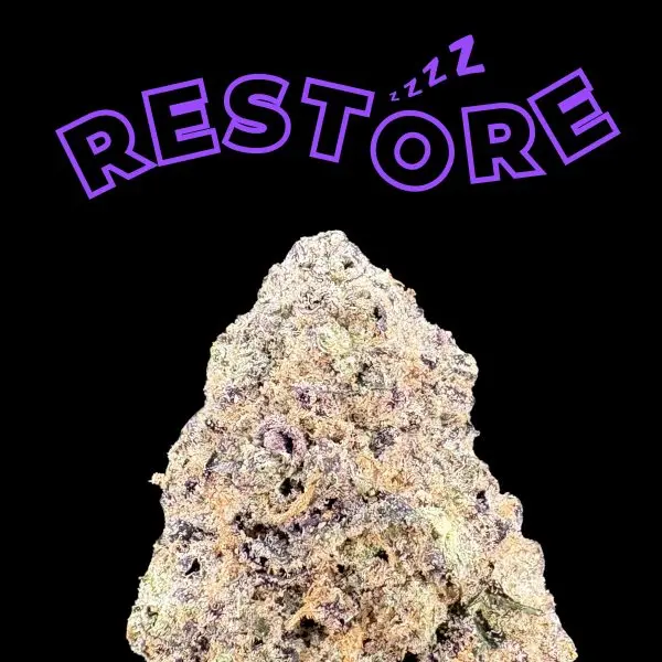 Jagged rock on a black background with large purple outlined text RESTORE arcing above.
