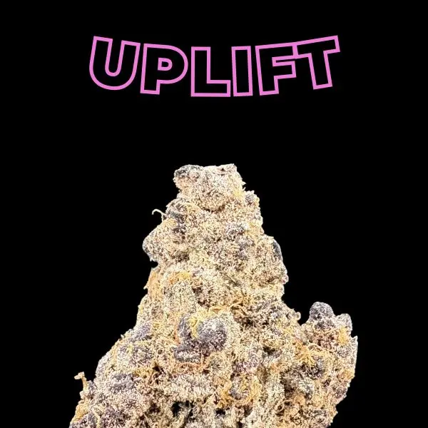 Rock formation on a black background with the word UPLEFT in pink outlined letters above it.