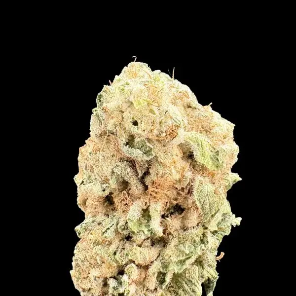 Close-up of a cannabis bud against a black background, showing frosty trichomes and orange pistils on green-orange buds.