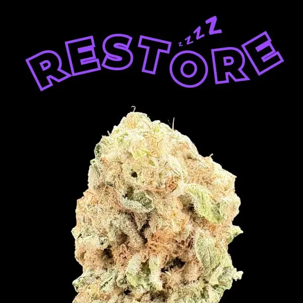 Close-up of a cannabis bud against a black background with a purple curved word RESTORE above it