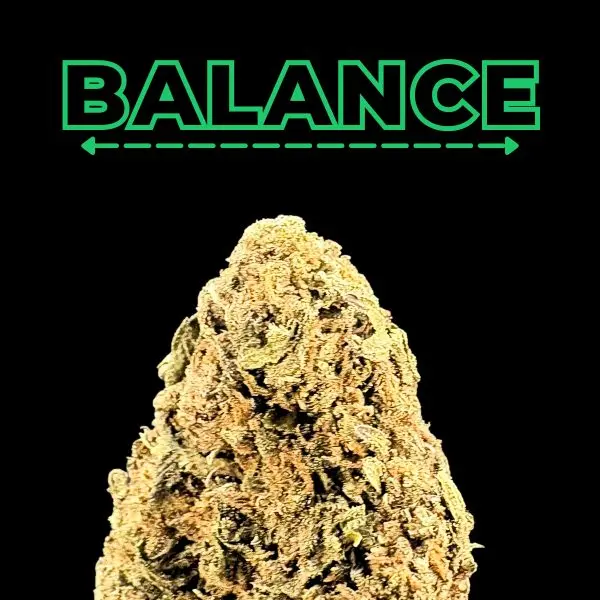 Green outlined BALANCE text above a jagged rock tower on a black background.