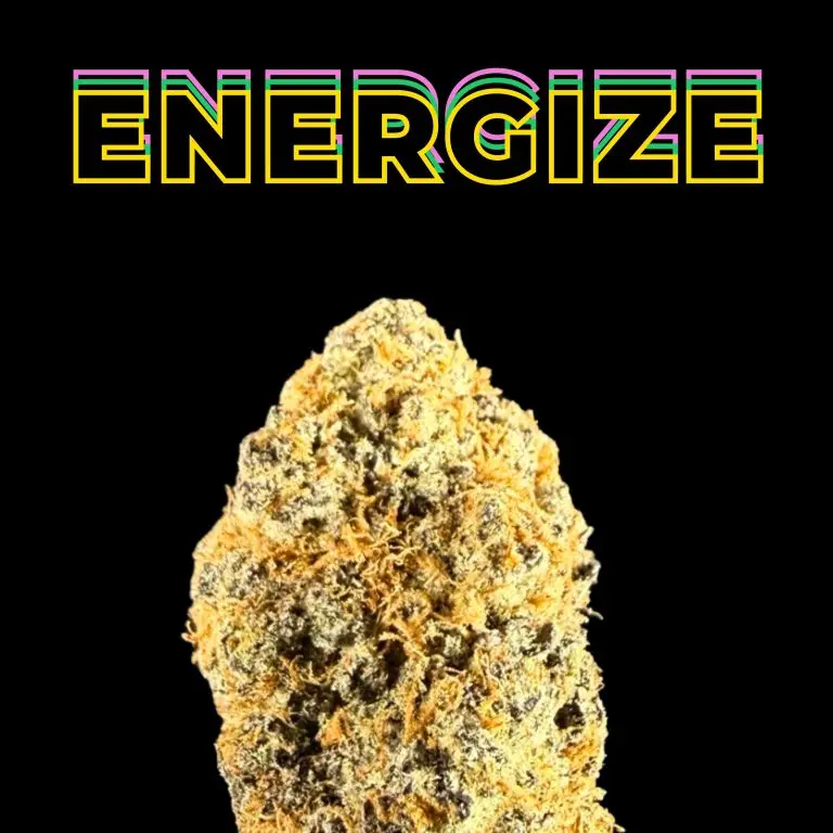 Purple Haze THCa flower
