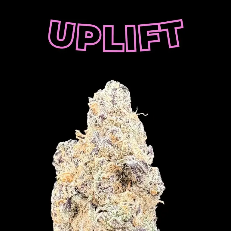 Purple Sticky Punch THCa flower