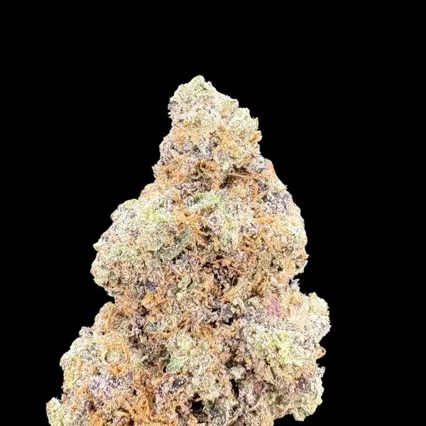 Colorful coral rock against a solid black background.