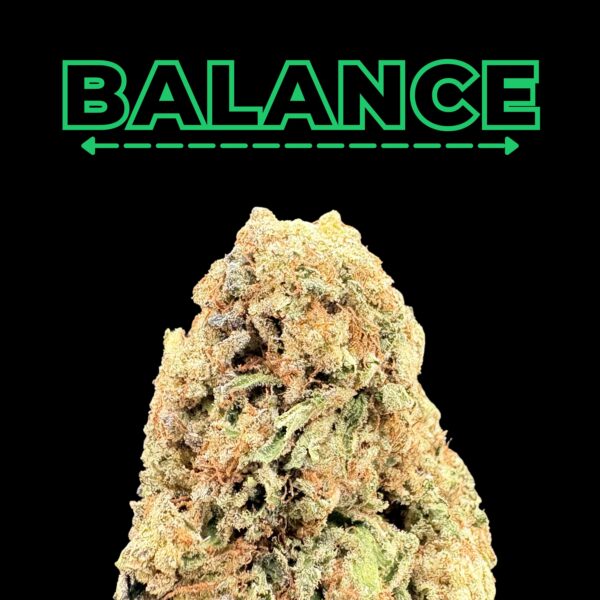Brand BALANCE logo in green outline on black background above a large cannabis‑like rock/bud.