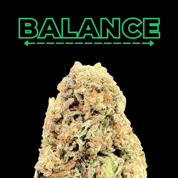Brand BALANCE logo in green outline on black background above a large cannabis‑like rock/bud.
