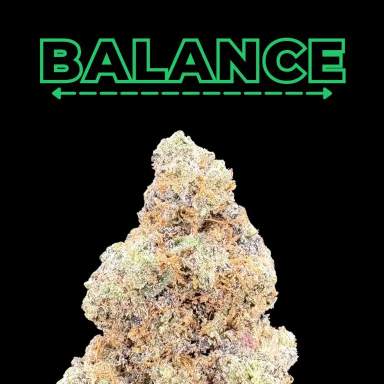 Purple Voodoo THCa flower